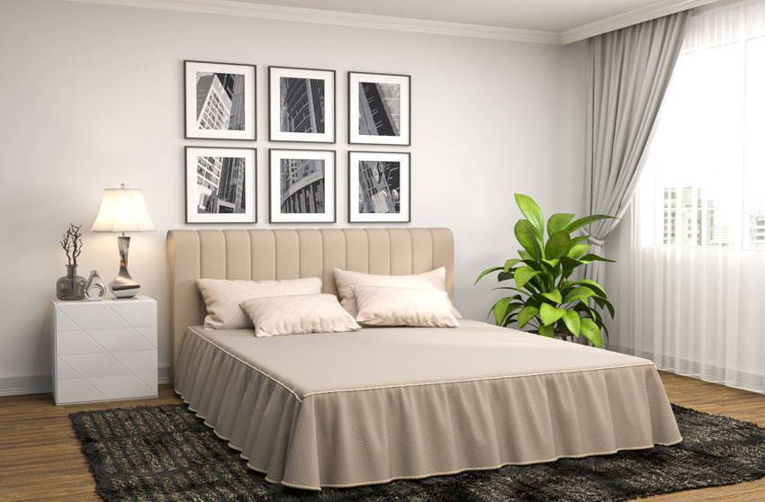 Bedroom with bed skirt, rug, wood floor, nightstand, lamp, window curtain, and indoor plant