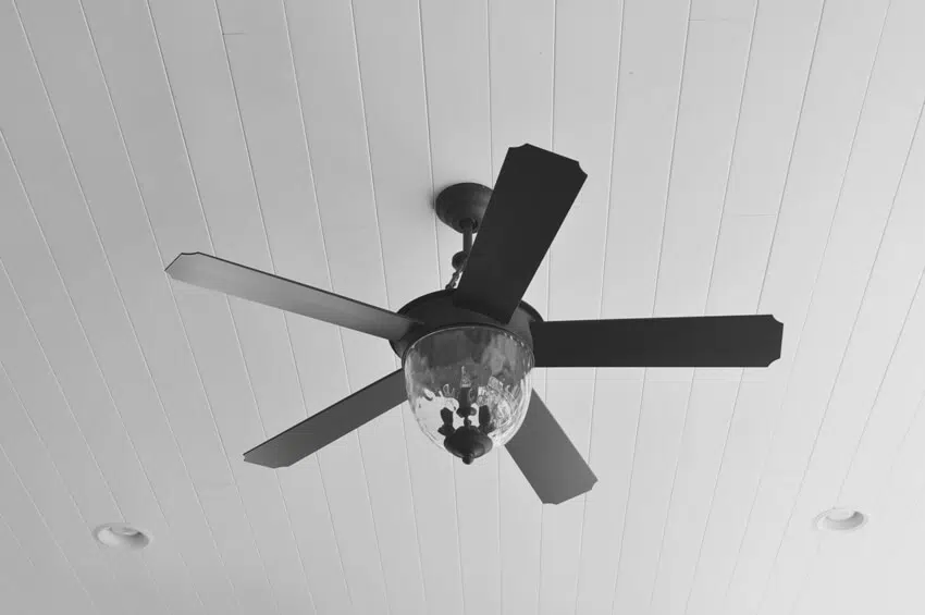 A black ceiling fan attached to white beadboard ceiling 
