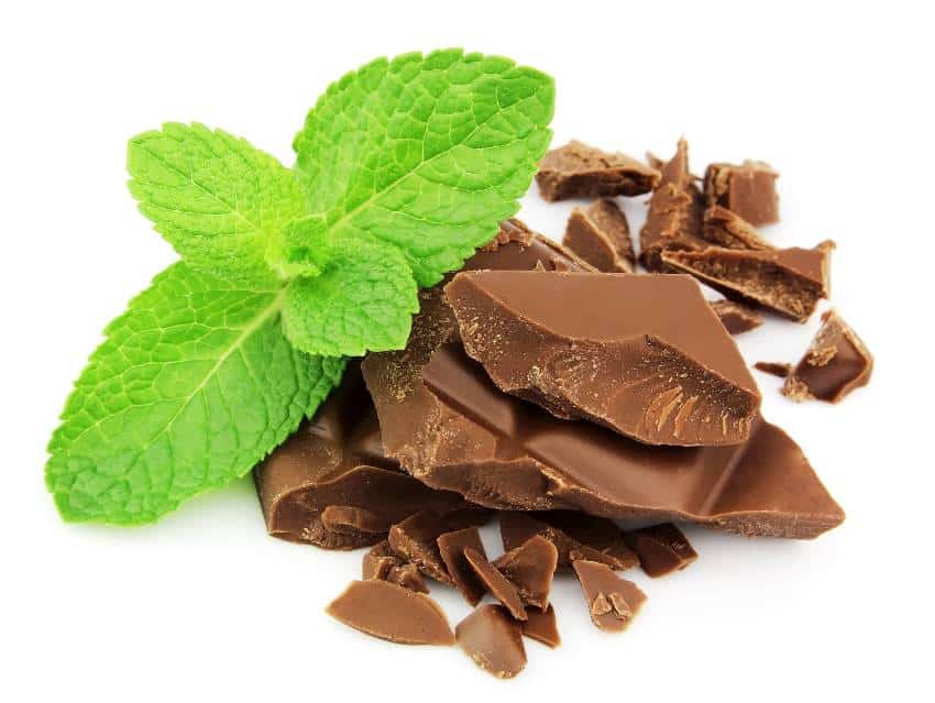 Chocolate and mint