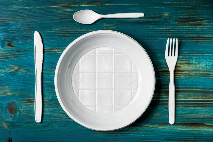 Disposable plastic plate and cutlery