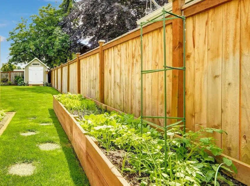 Douglas fir fence panels on backyard with garden bed and green lawn