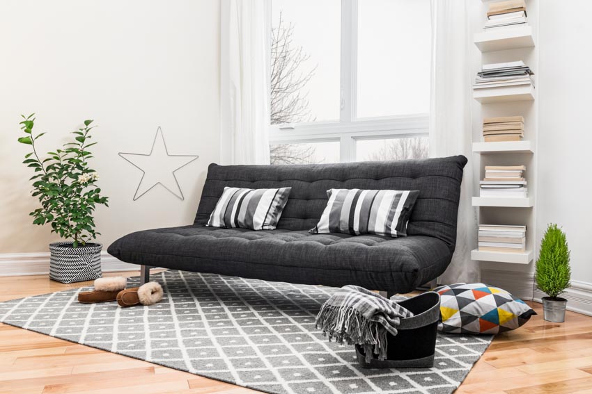 Living room with futon sofa bed, wood floor, rug, window, and indoor plants