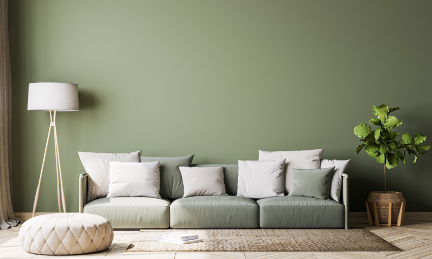 Room with light olive backdrop wall, couch, lamp, indoor plant, and rug