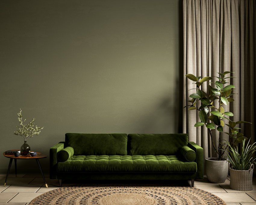 Room with olive backdrop wall, tufted sofa, side table, plants, rug, and curtains