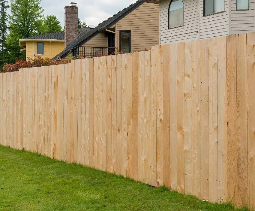 New cedar wood fence boards along garden backyard of homes