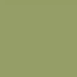 Olive No.13 by Farrow and Ball