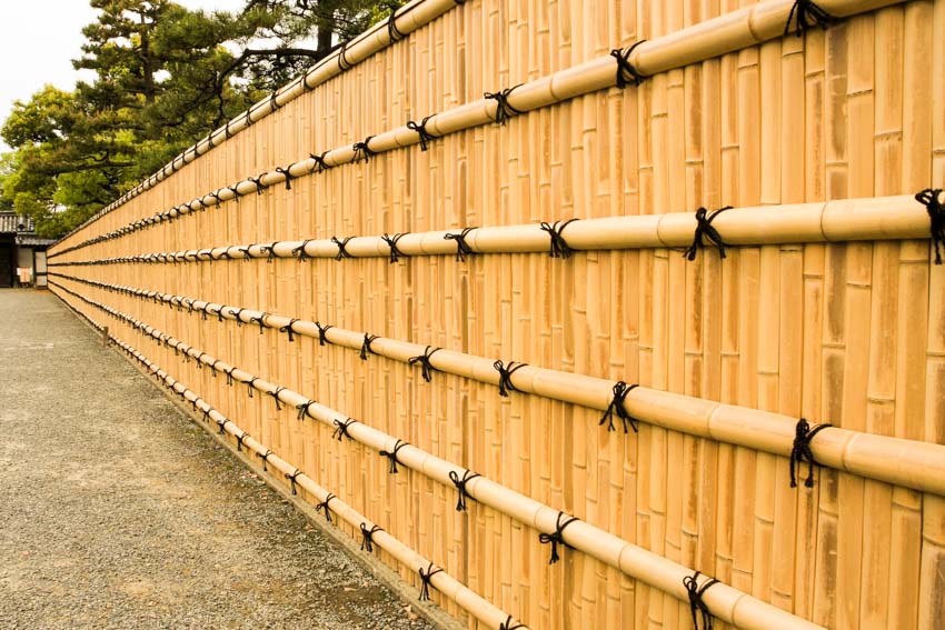 Bamboo fence