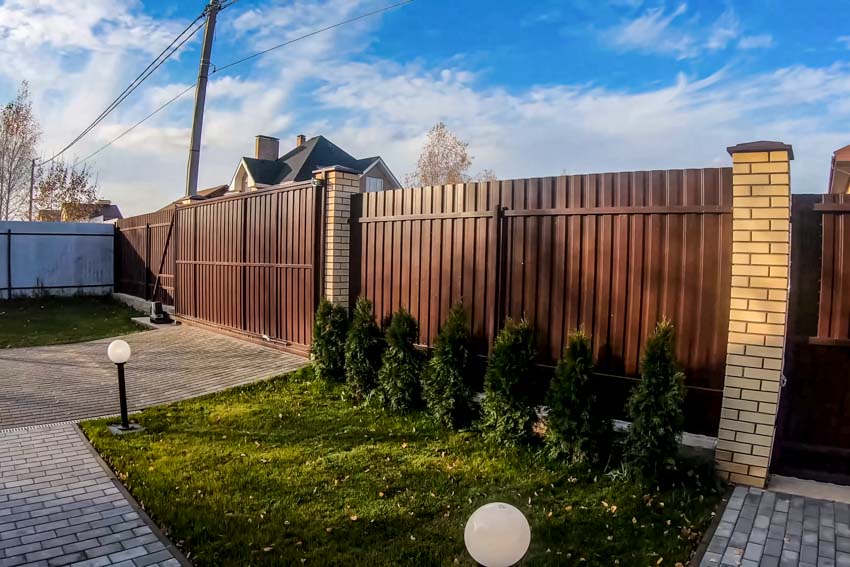 Outdoor area with brown corrugated metal panel fence and hedge plants