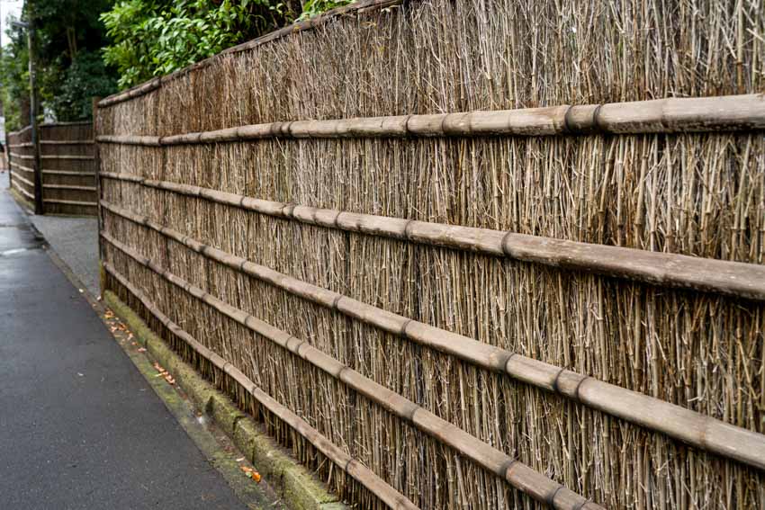 Brushwood fence