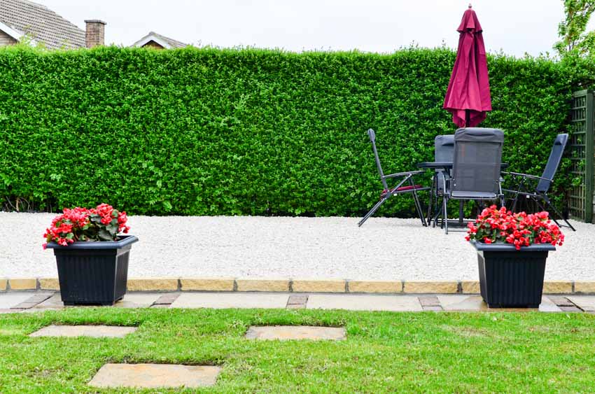 Landscape with hedge fence, potted flowers, table, chairs, and umbrella shade