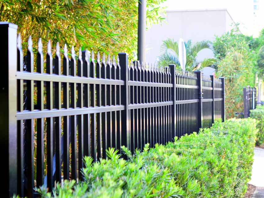 Vertical garden fence, and hedge