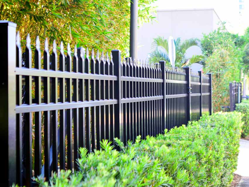 Vertical garden fence, and hedge 