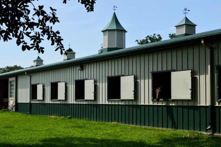 17 Types Of Barns (Construction & Roof Designs)