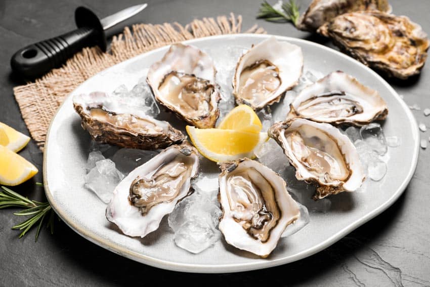 Oyster plate and small knife and lemon wedge