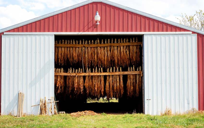 Tobacco barn with white doors