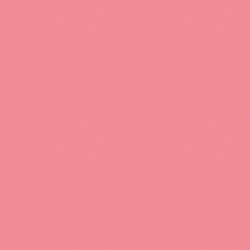 Pink Starburst (2004-40)
