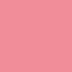 Pink Starburst (2004-4)