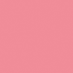 Valspar Pink Burst (1003-1A)
