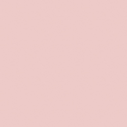 Sherwin-Williams Rose Colored (SW 6303)