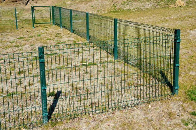 7 Invisible Fence Alternatives for Dogs