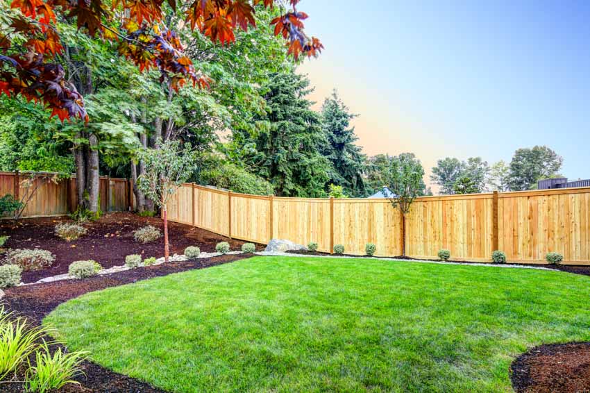 Backyard with landscaping rocks, plants, flowers, trees, grass, and pressure treated fence