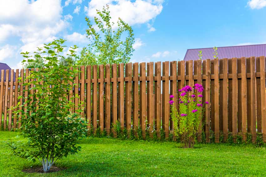 Backyard with fence, plants, and small trees