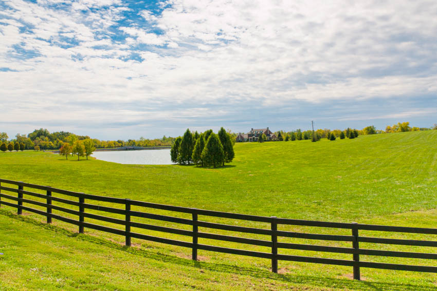 Beautiful and vast outdoor area with split rail fence and trees