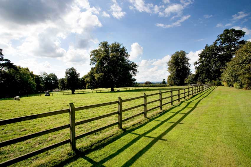 Beautiful field with split rail fences and trees