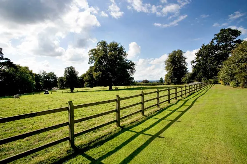 Beautiful field with fences and trees