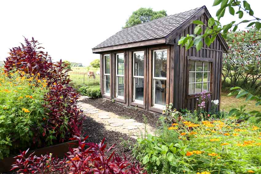 Beautiful shed with windows, pitched roof, plants, and flowers near it
