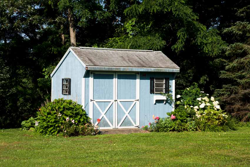 Blue outdoor shed with plants and flowers around it