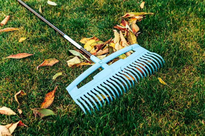 Garden rake outdoor spaces and landscaping purposes
