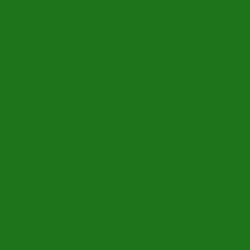 Green - #1D741B