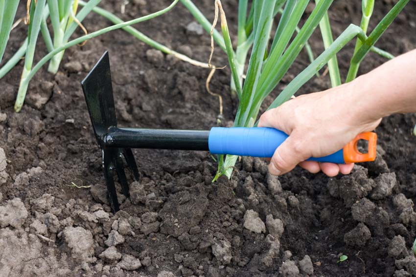 Hand fork hoe for gardens and outdoor areas