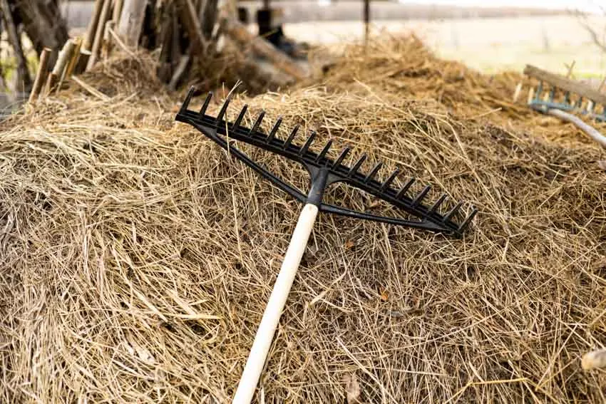 Hay rake for outdoor spaces and landscaping purposes