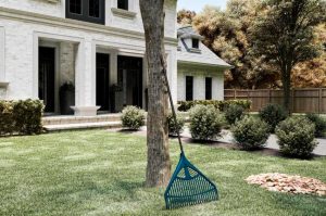 17 Types Of Rakes (Uses & Pictures)