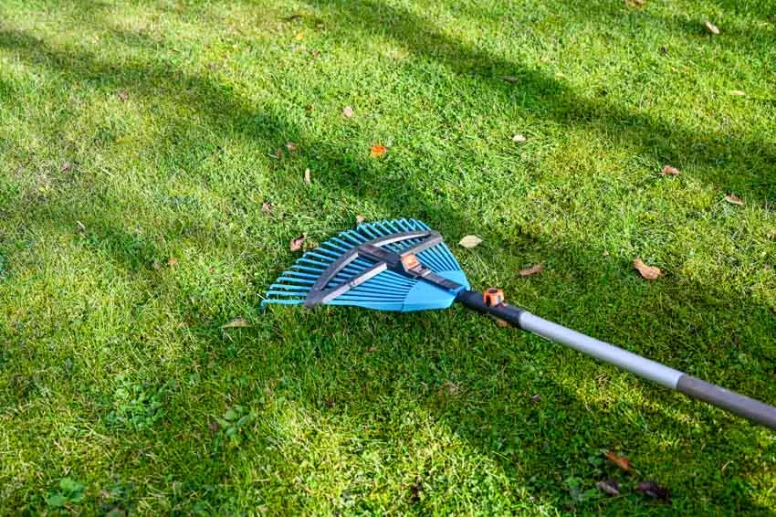 Leaf rake for outdoor spaces and landscaping purposes