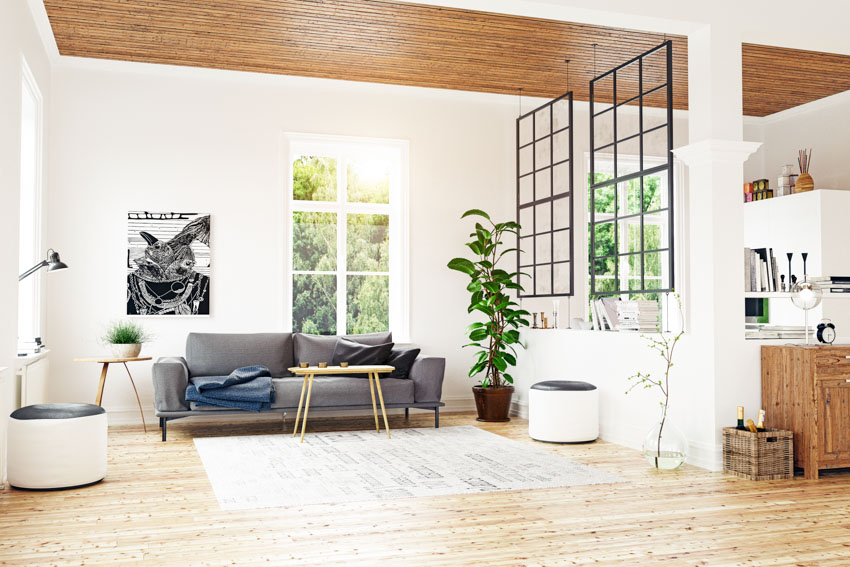 Living room with couch, DIY room divider, wood floor, indoor plant, wooden ceiling, and windows