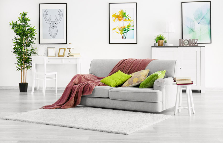 Room with gray couch, side table, rug, and indoor plant