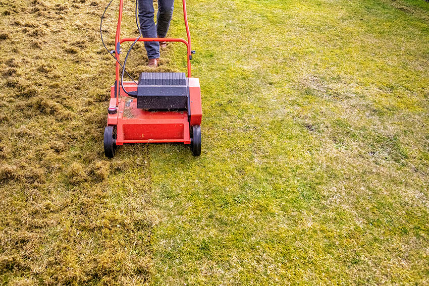 Mowing grass and dethatching with lawn mower 