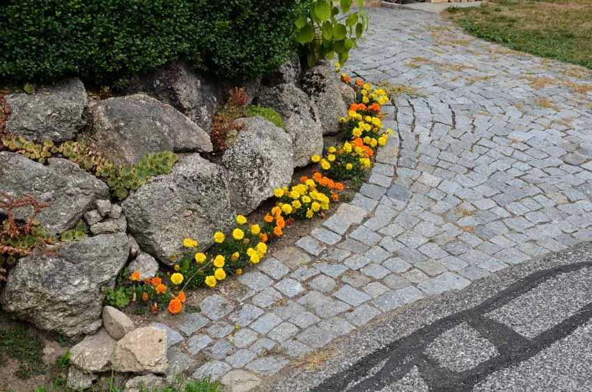Granite pavers, landscaping rocks, plants, and flowers