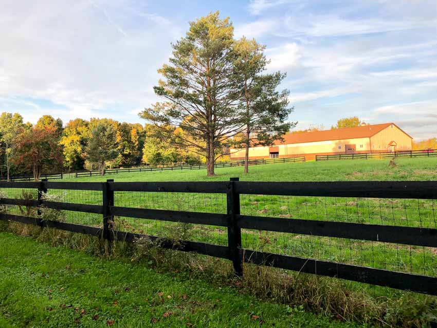 Outdoor area with grassy field and black split rail fence