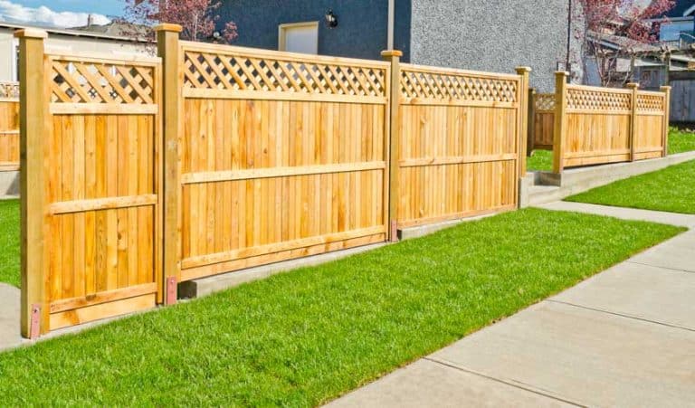 Pressure Treated Fence (Designs & Pros and Cons)