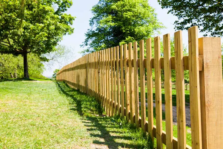 Wood picket fences, trees and lawn