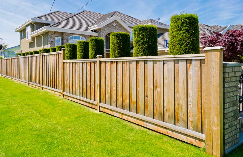 Fence made of wood with hedge plants