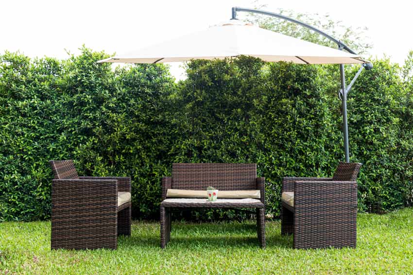 Outdoor furniture on grass with hedge plants and offset umbrella