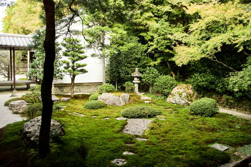 Outdoor garden with trees, stone decor, and moss lawn