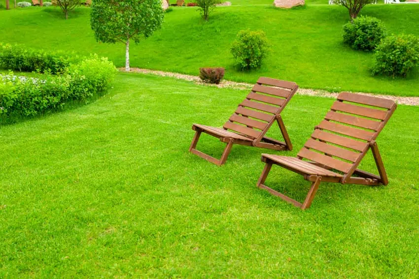 Outdoor grassy area with wide footed lounge chairs made of wood