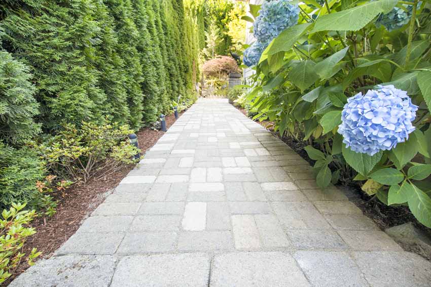 Outdoor walkway with concrete pavers, plants, and flowers