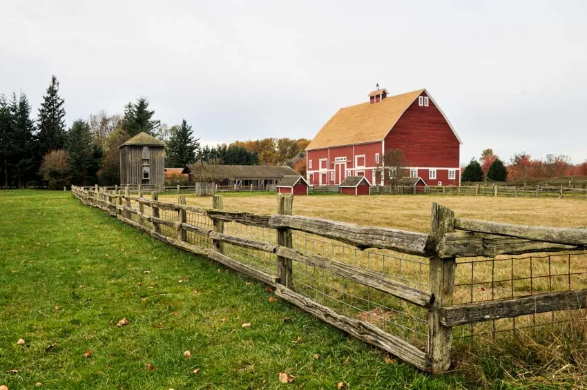Red barn with fence, trees, and outdoor structures